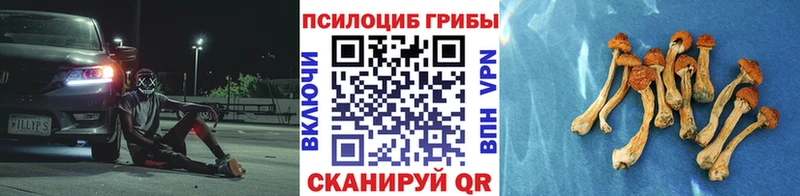 Галлюциногенные грибы Cubensis  Почеп 